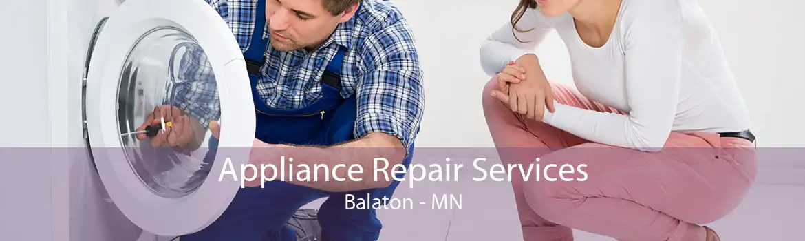 Appliance Repair Services Balaton - MN