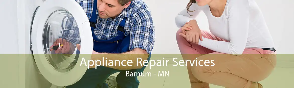 Appliance Repair Services Barnum - MN