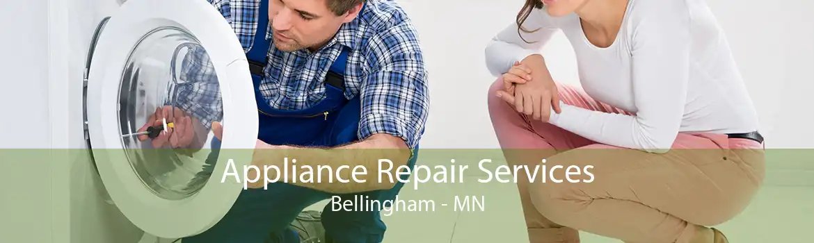 Appliance Repair Services Bellingham - MN