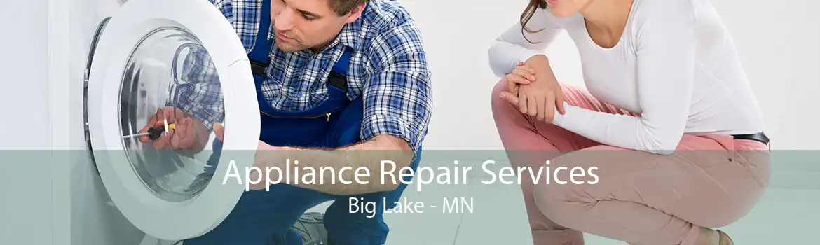 Appliance Repair Services Big Lake - MN