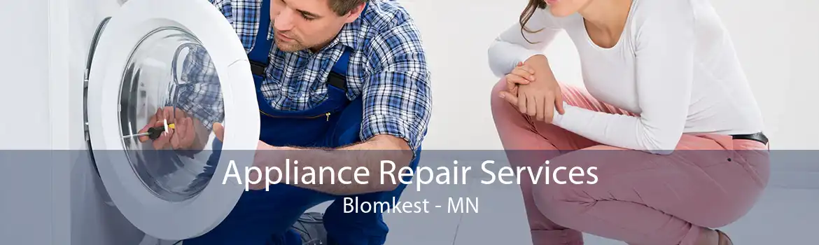 Appliance Repair Services Blomkest - MN