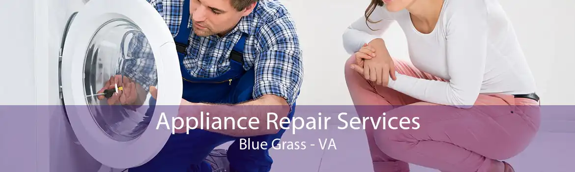 Appliance Repair Services Blue Grass - VA