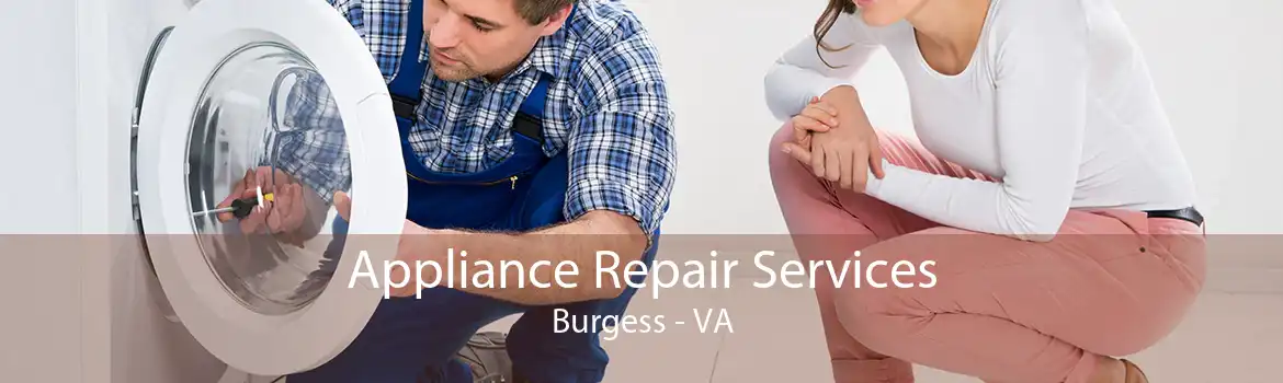 Appliance Repair Services Burgess - VA