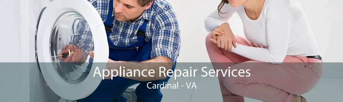 Appliance Repair Services Cardinal - VA