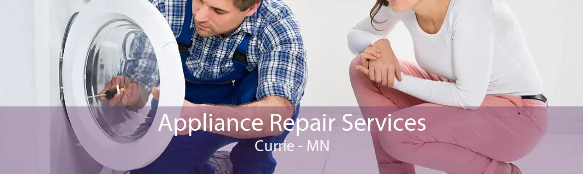 Appliance Repair Services Currie - MN