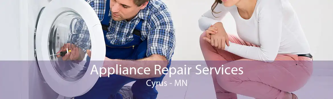 Appliance Repair Services Cyrus - MN