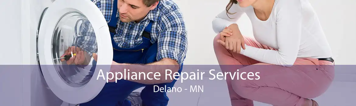 Appliance Repair Services Delano - MN