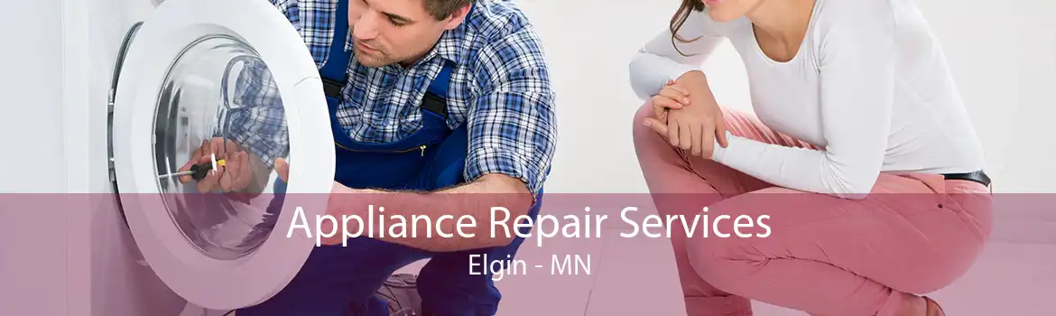 Appliance Repair Services Elgin - MN