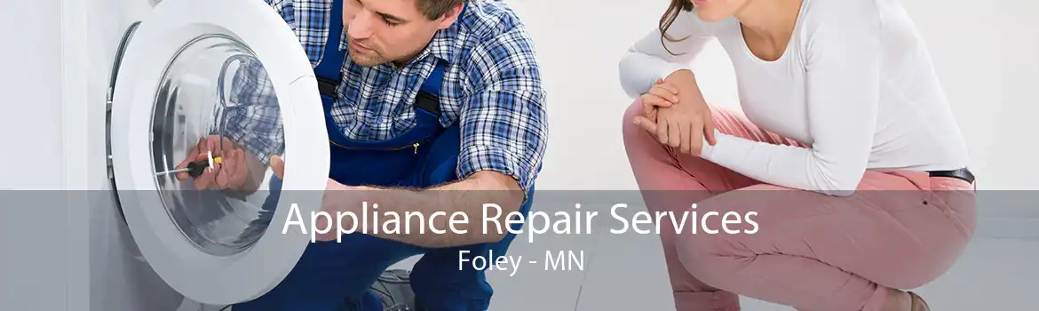 Appliance Repair Services Foley - MN