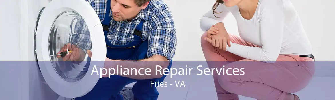 Appliance Repair Services Fries - VA