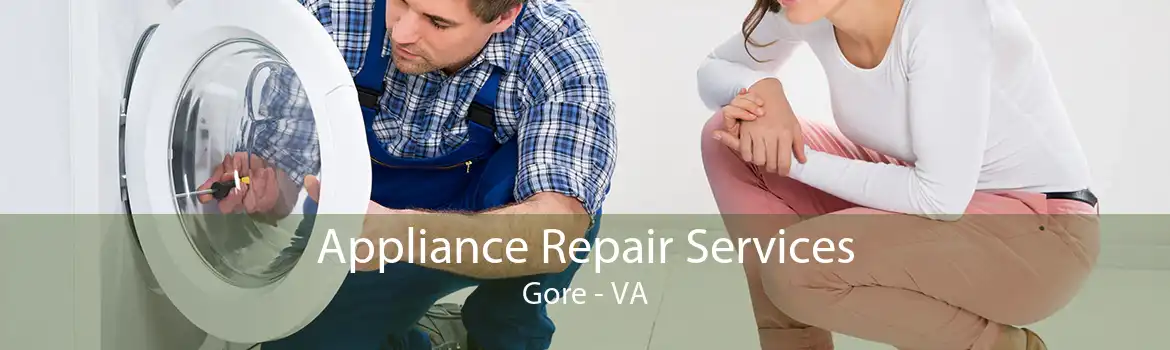 Appliance Repair Services Gore - VA