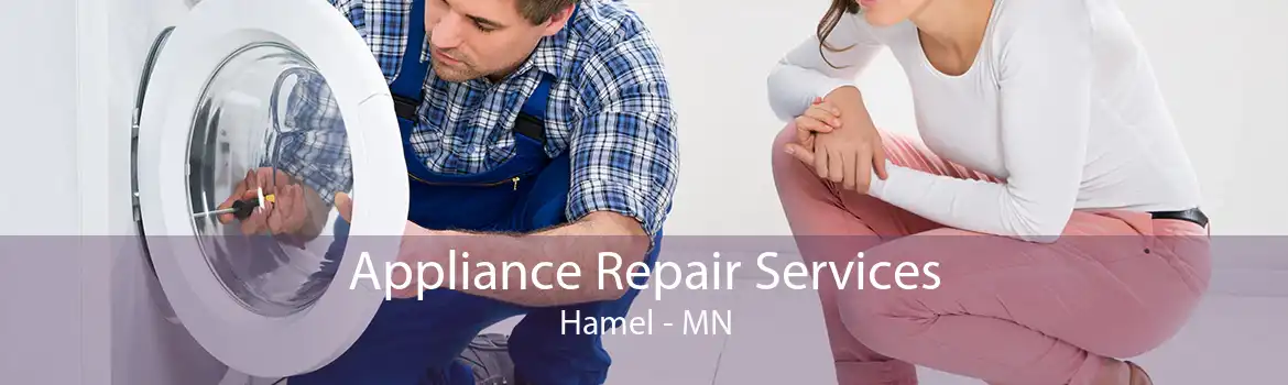 Appliance Repair Services Hamel - MN