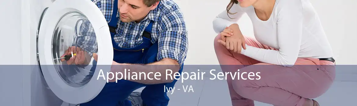 Appliance Repair Services Ivy - VA