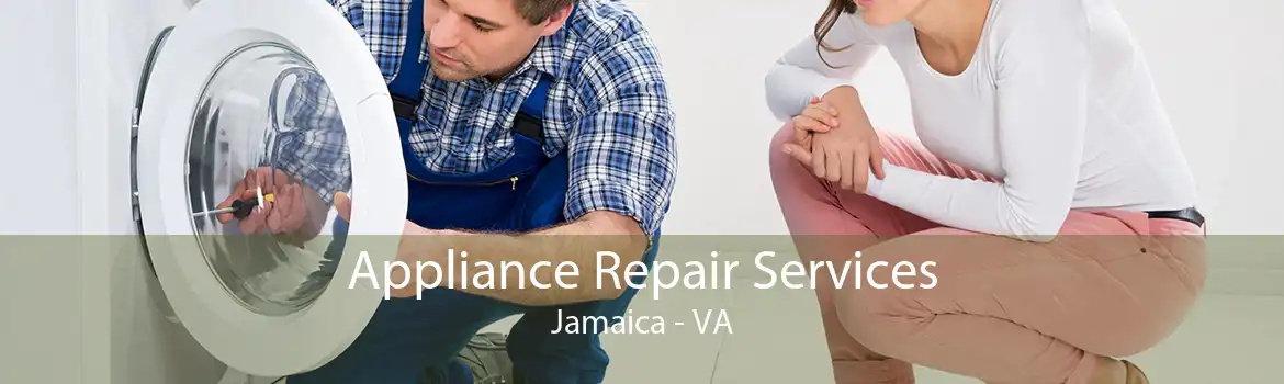 Appliance Repair Services Jamaica - VA
