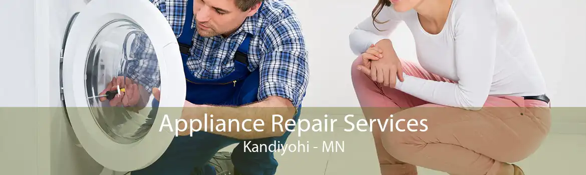 Appliance Repair Services Kandiyohi - MN