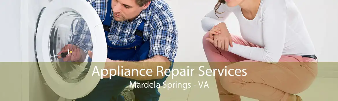 Appliance Repair Services Mardela Springs - VA