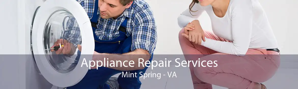 Appliance Repair Services Mint Spring - VA