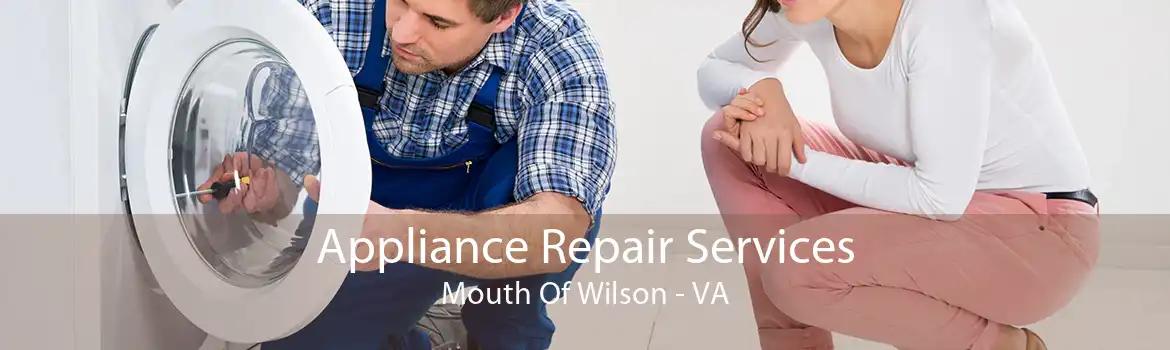 Appliance Repair Services Mouth Of Wilson - VA