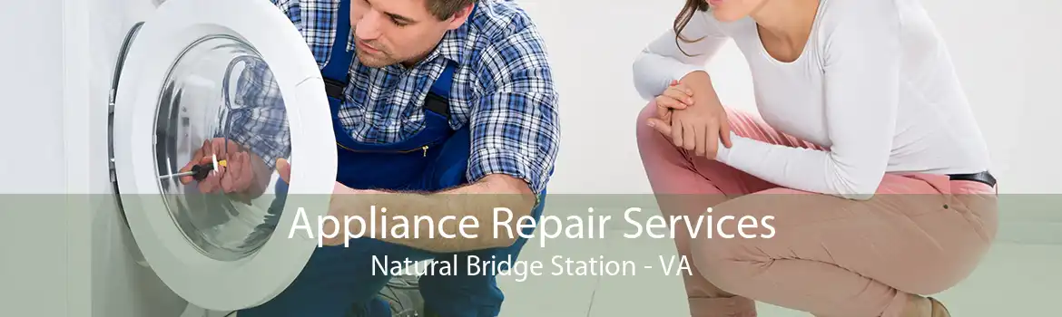 Appliance Repair Services Natural Bridge Station - VA