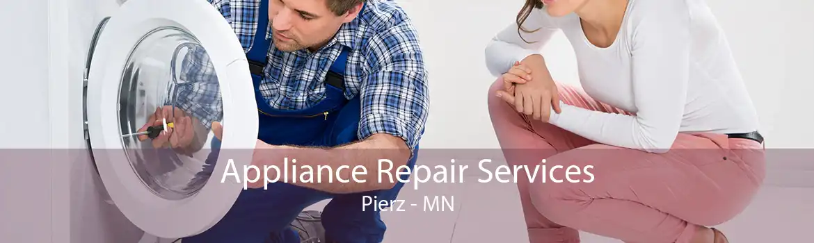 Appliance Repair Services Pierz - MN