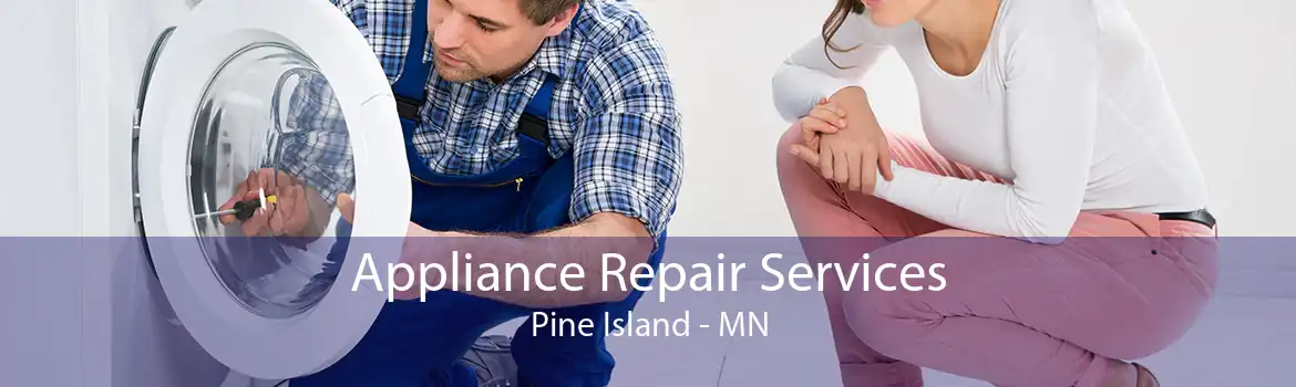 Appliance Repair Services Pine Island - MN