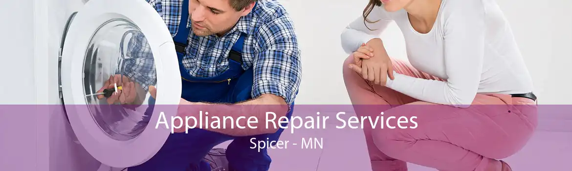 Appliance Repair Services Spicer - MN