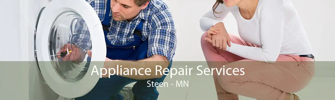 Appliance Repair Services Steen - MN