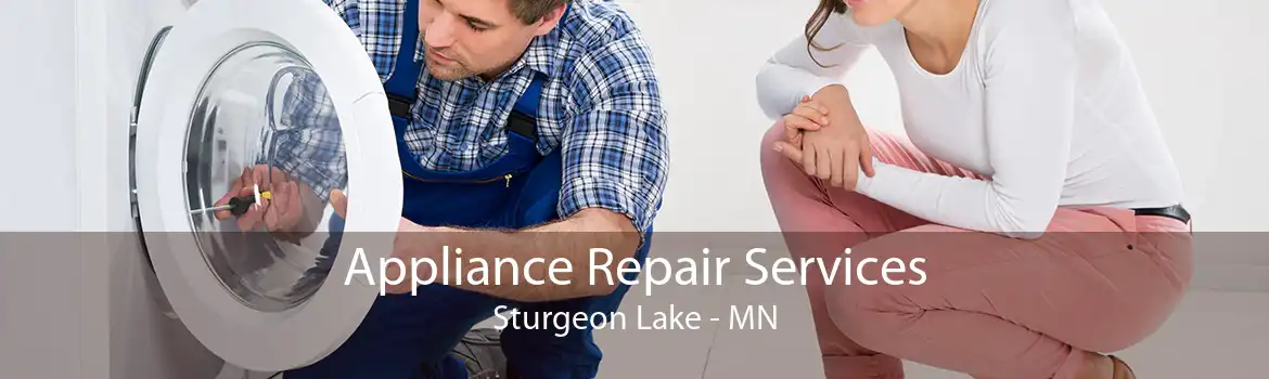 Appliance Repair Services Sturgeon Lake - MN