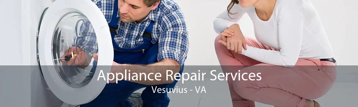 Appliance Repair Services Vesuvius - VA