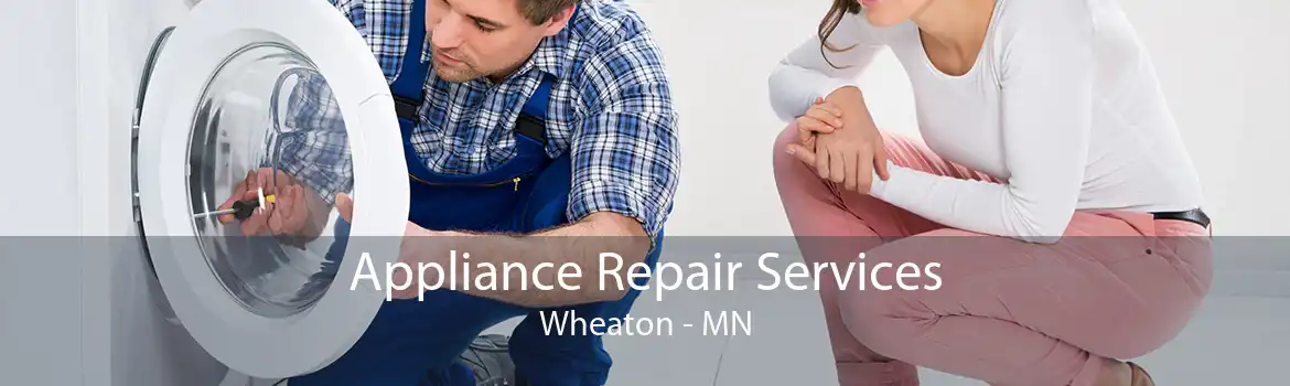 Appliance Repair Services Wheaton - MN