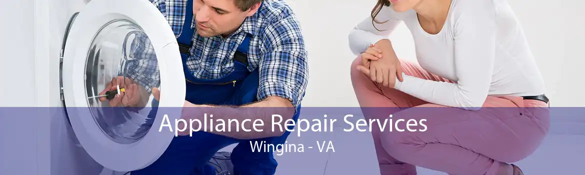 Appliance Repair Services Wingina - VA