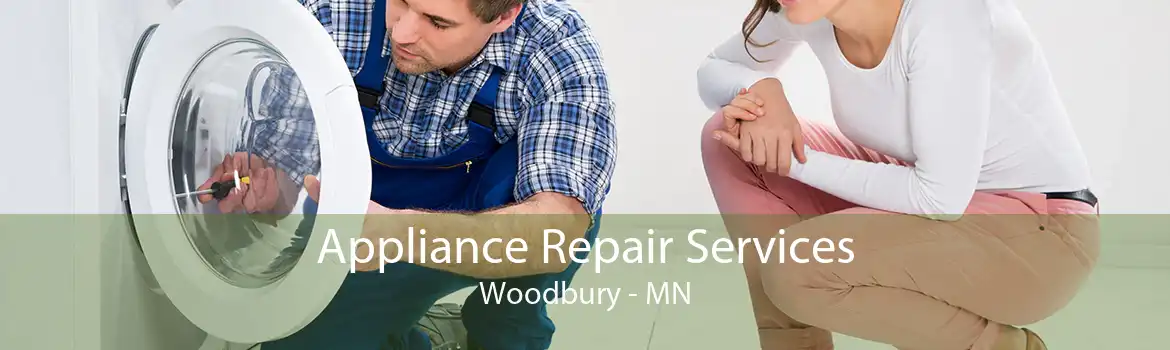 Appliance Repair Services Woodbury - MN