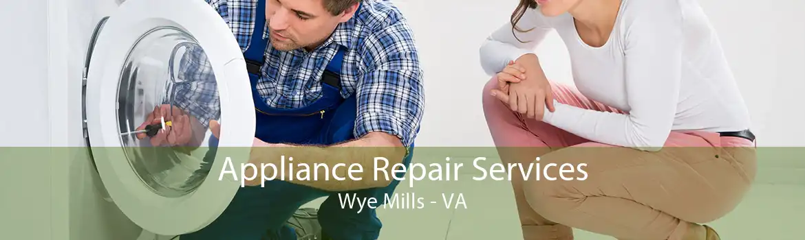 Appliance Repair Services Wye Mills - VA