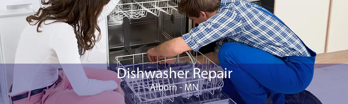 Dishwasher Repair Alborn - MN