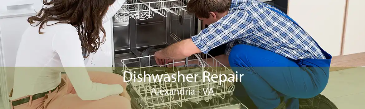 Dishwasher Repair Alexandria - VA