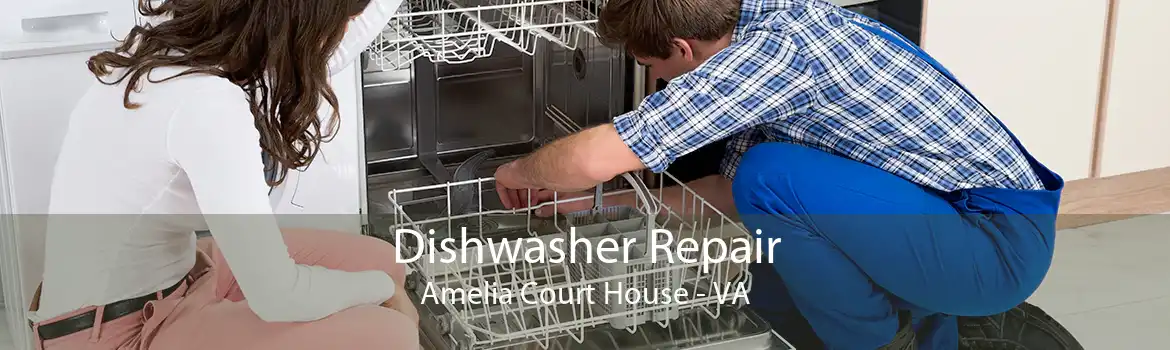 Dishwasher Repair Amelia Court House - VA