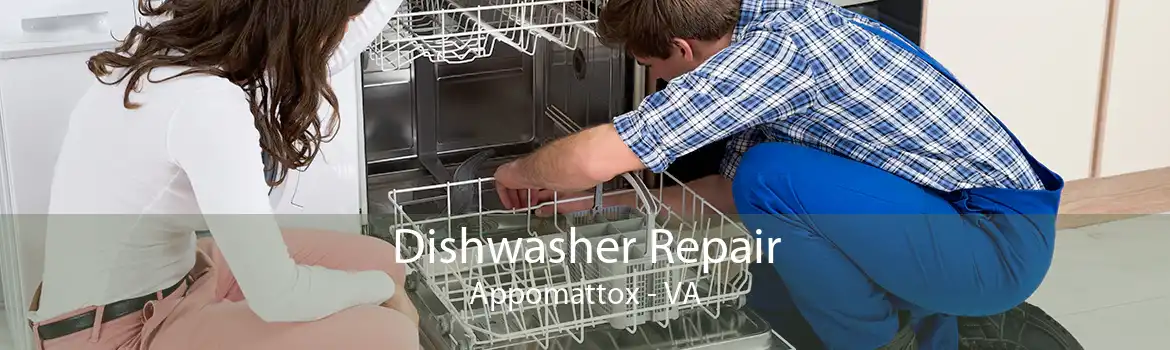 Dishwasher Repair Appomattox - VA