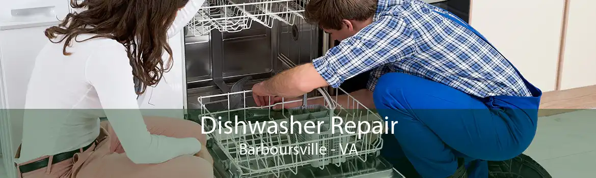 Dishwasher Repair Barboursville - VA