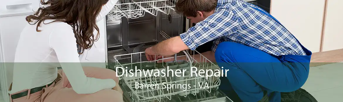Dishwasher Repair Barren Springs - VA