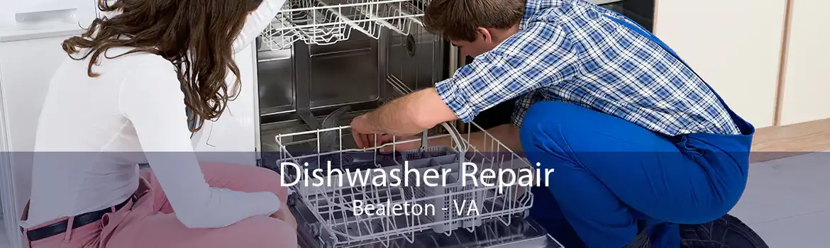 Dishwasher Repair Bealeton - VA