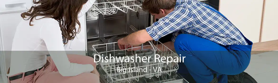 Dishwasher Repair Big Island - VA