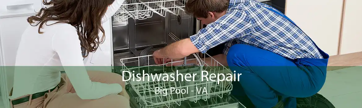Dishwasher Repair Big Pool - VA
