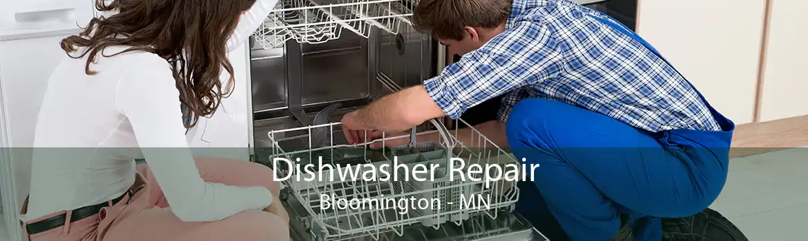 Dishwasher Repair Bloomington - MN