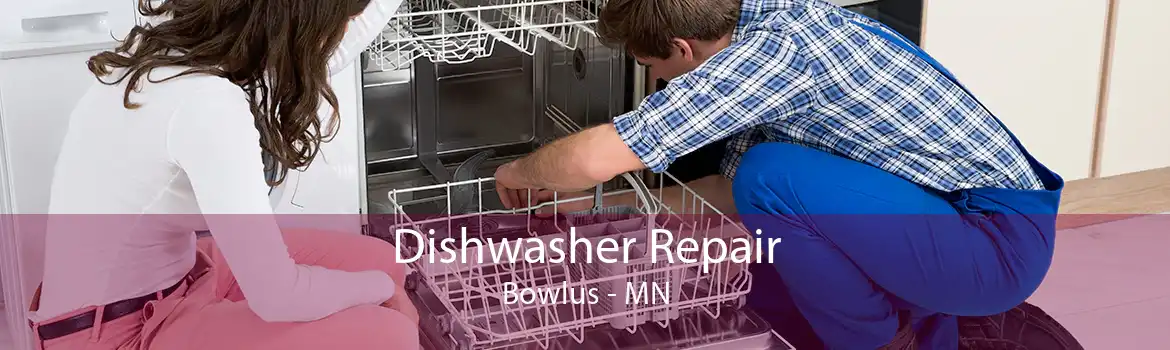 Dishwasher Repair Bowlus - MN