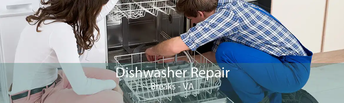 Dishwasher Repair Breaks - VA