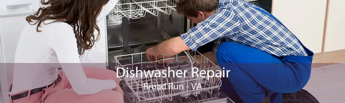 Dishwasher Repair Broad Run - VA