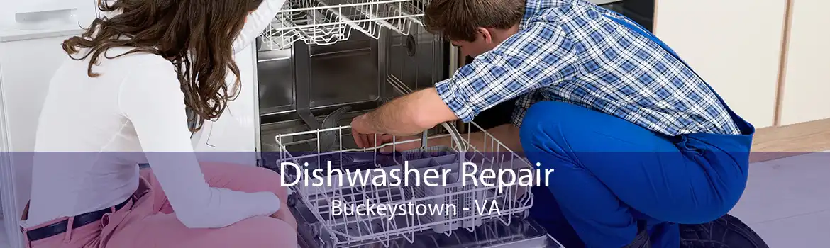 Dishwasher Repair Buckeystown - VA