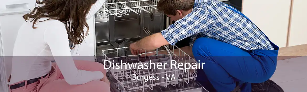 Dishwasher Repair Burgess - VA