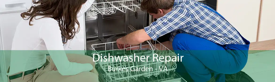 Dishwasher Repair Burkes Garden - VA