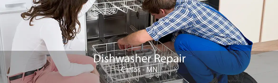 Dishwasher Repair Carlos - MN